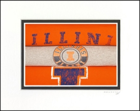 Illinois Illini Vintage T-Shirt Sports Art